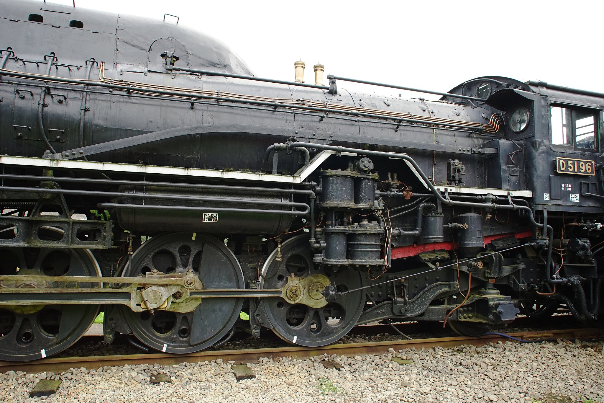 D51-96 ナメクジ