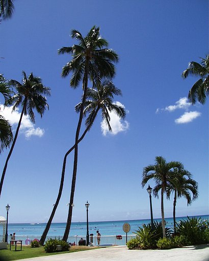 ワイキキ海岸
