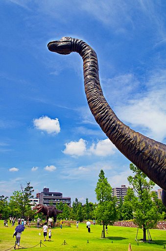 【天】を貫く一首