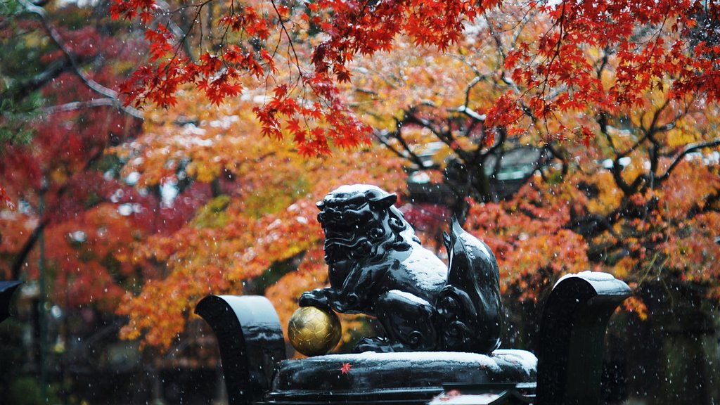 11月の初雪