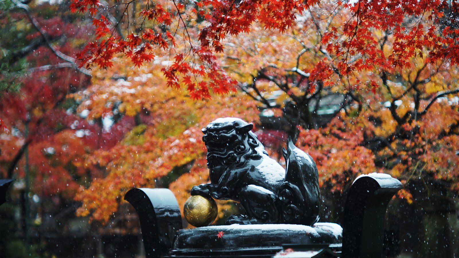 11月の初雪