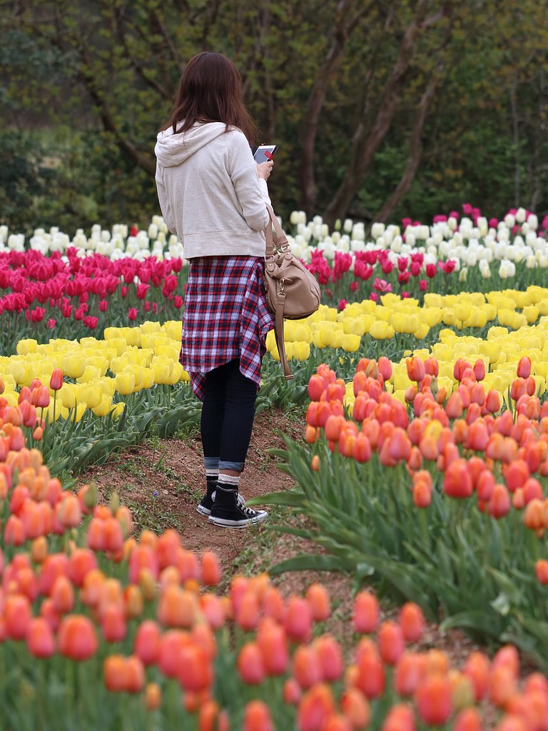 【縦画像】花のような人