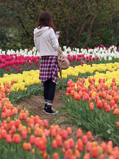 【縦画像】花のような人