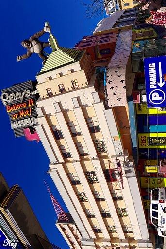 【縦画像】ん？