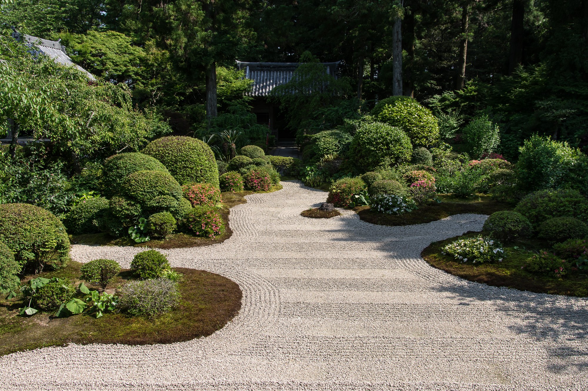 rock garden