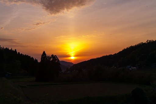 黄金色の夕焼けに。