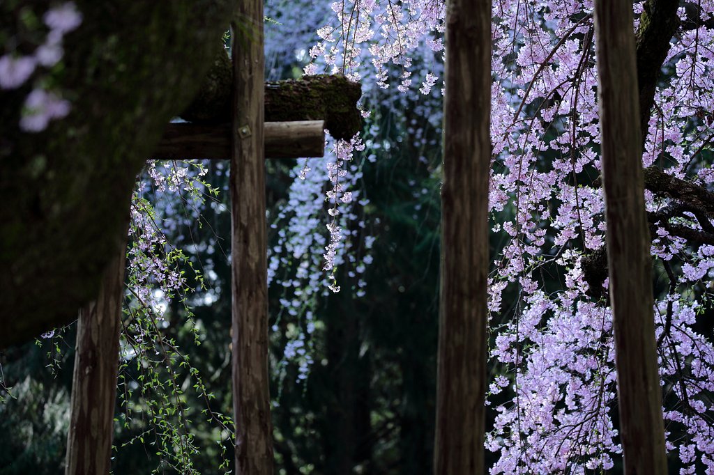 花屏風