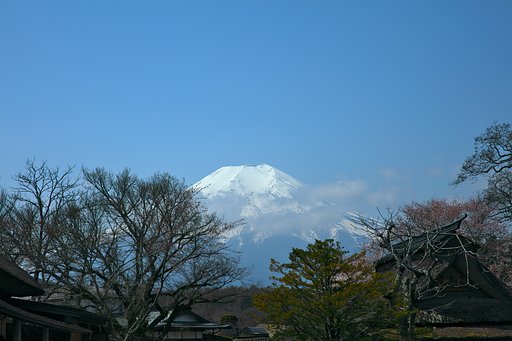 忍野八海にて