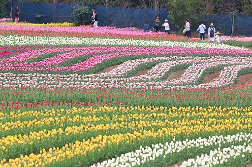 世羅観光農園