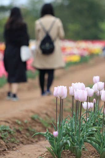 【縦画像】花のような人たち