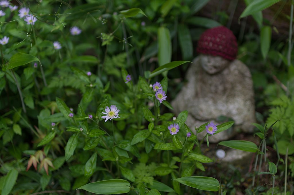 SIGMA 30mm F1.4 DC HSM