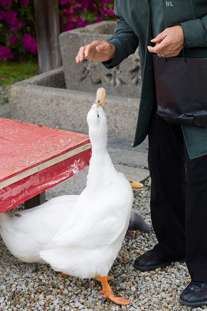 【縦画像】理屈ではそうですが…