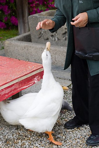 【縦画像】理屈ではそうですが…