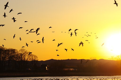 夕日に向かって！