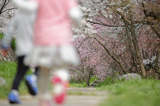 おもい出は遠くの日々