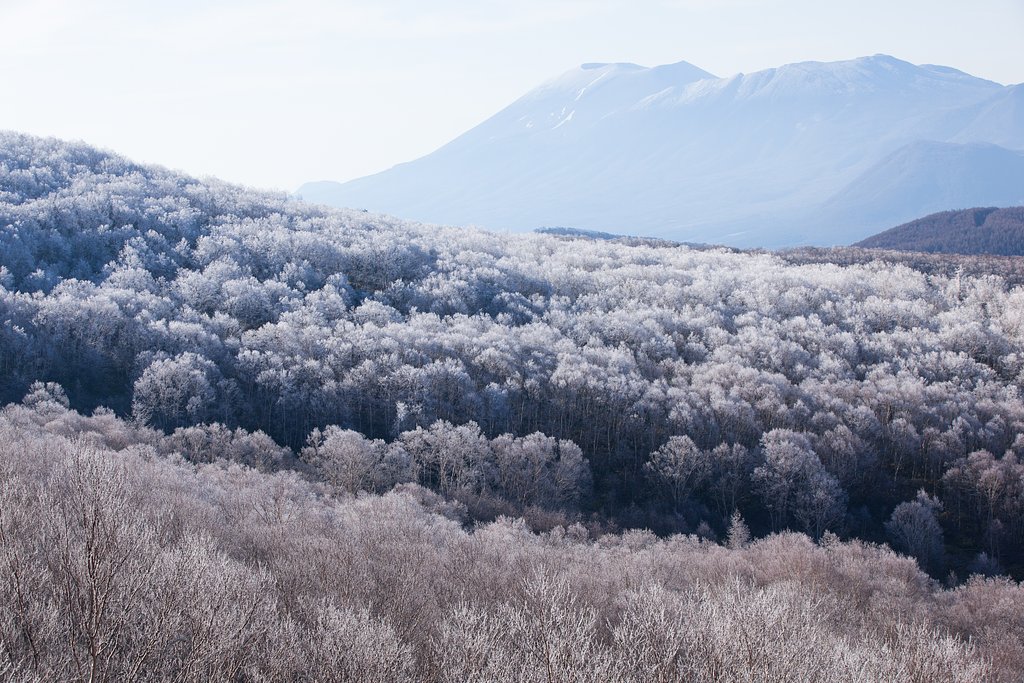 信じられない光景