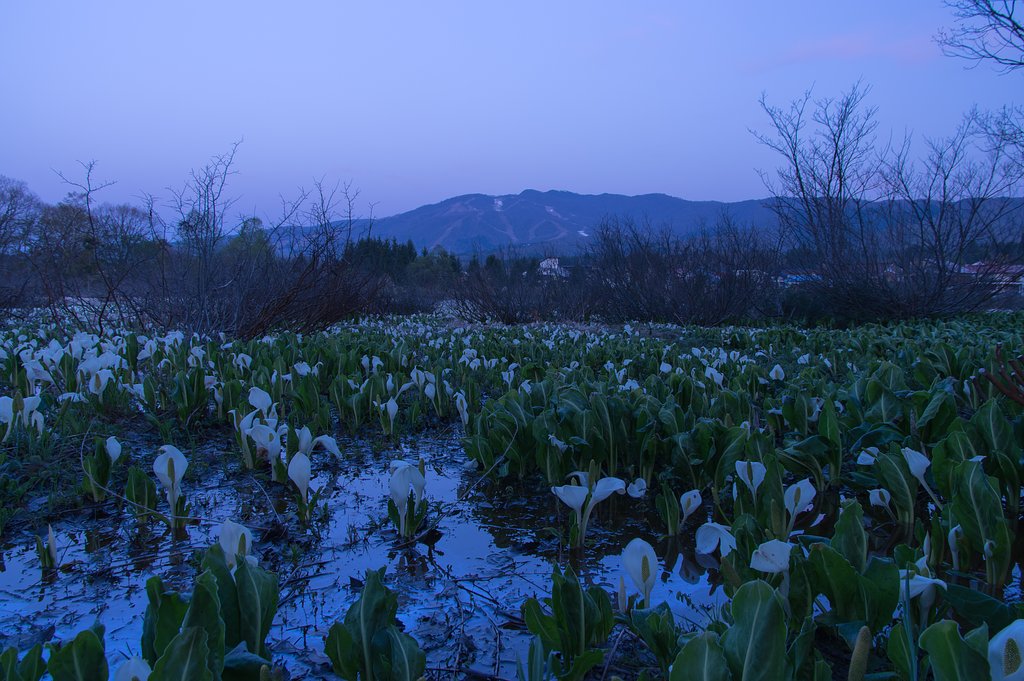 透明な朝（序）