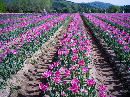 【purple】もあるはず🎵 Ⅱ