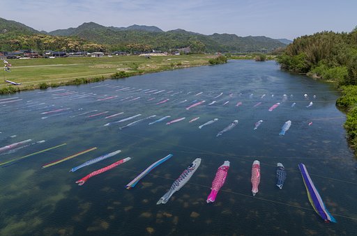 鯉のぼり