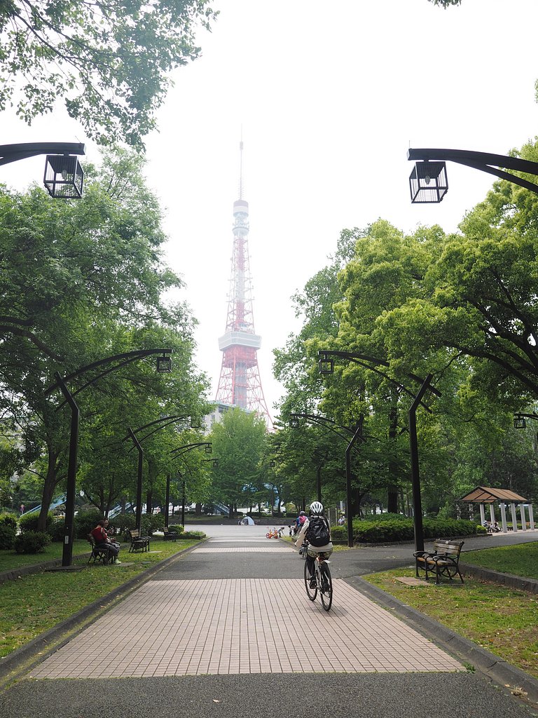 向こうの大樹