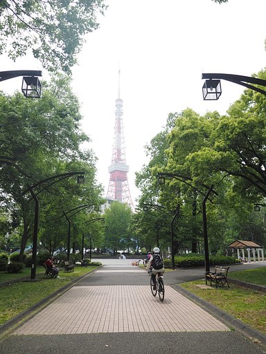 向こうの大樹