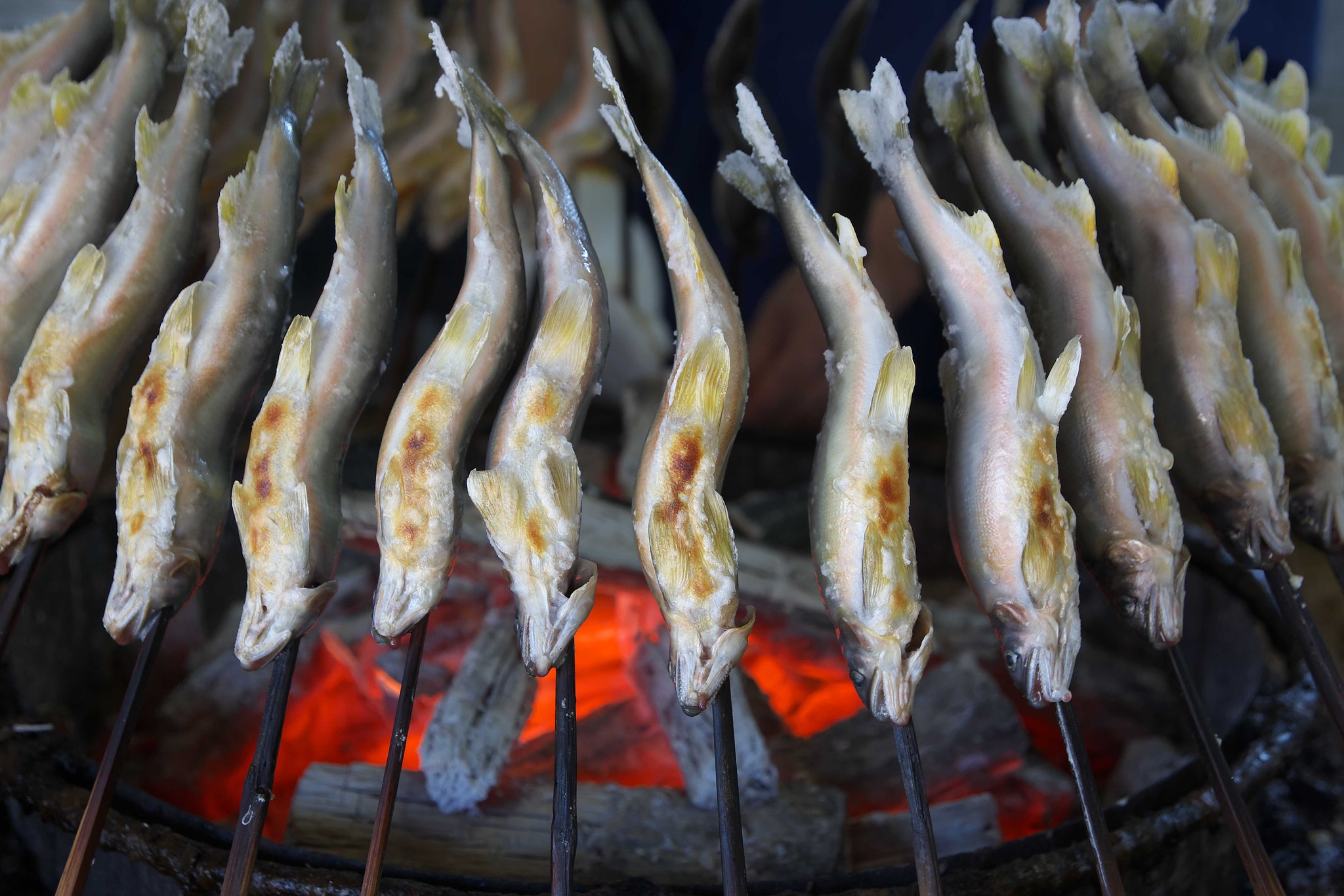 焼き焦がれるほど愛してる