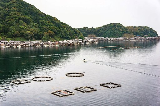 道の駅　舟屋の里伊根から
