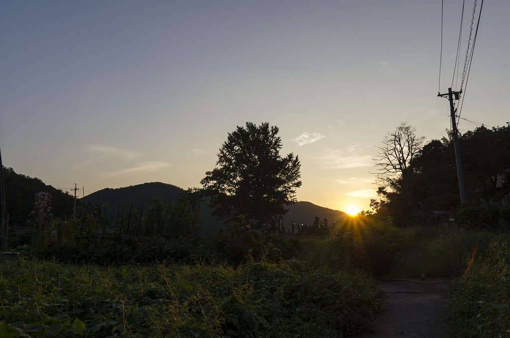 夕焼けに。