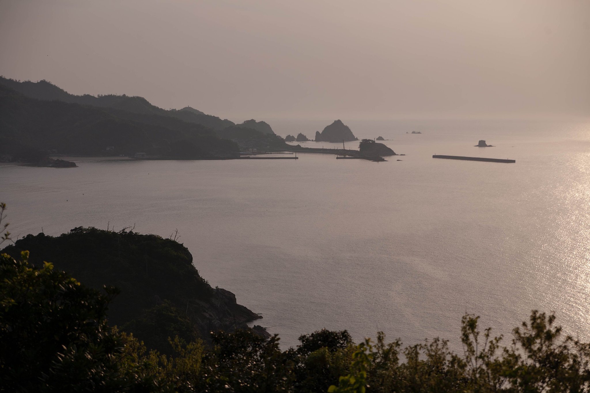 羽尾岬休憩舎からの田後港。