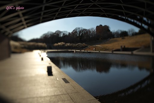12月15日の写真