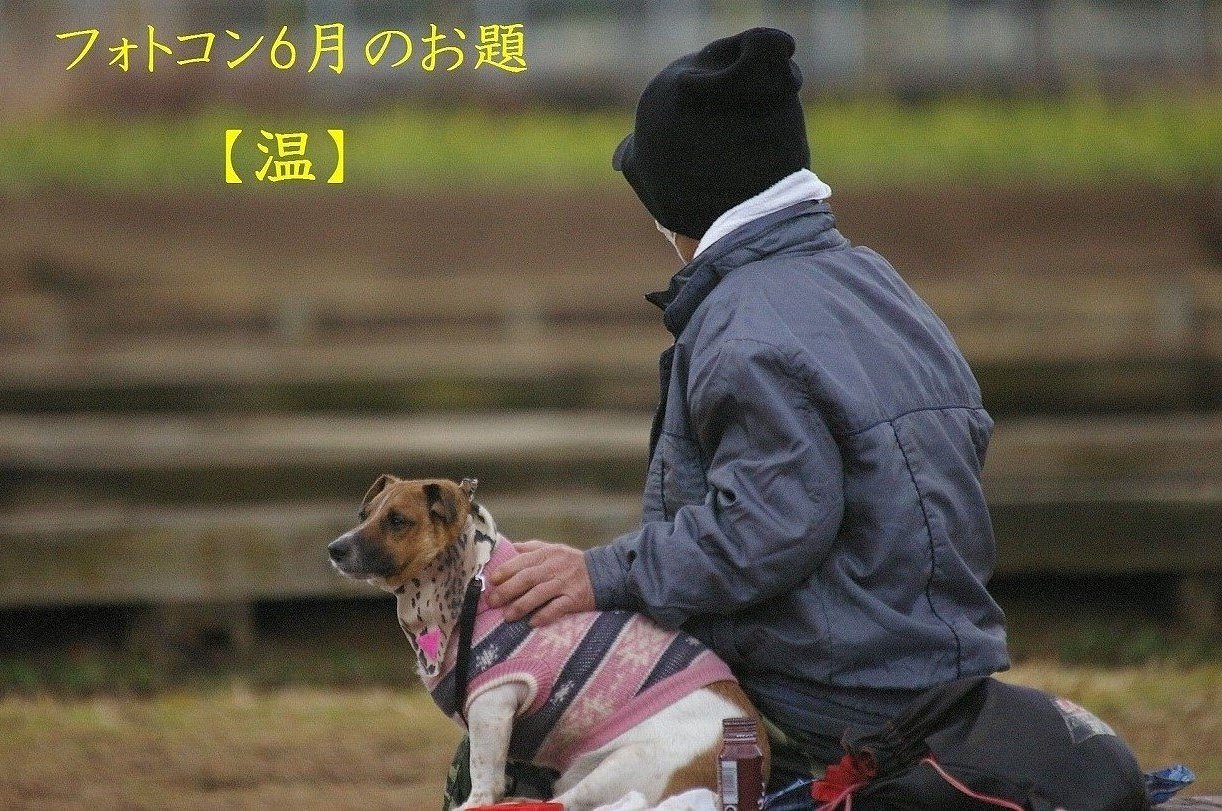 ６月フォトコンへのお誘い