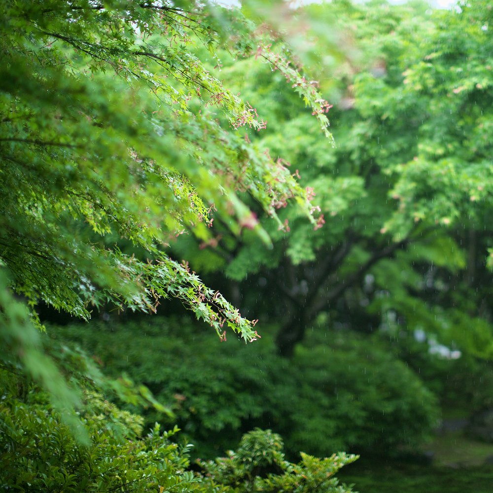 茶室にて2