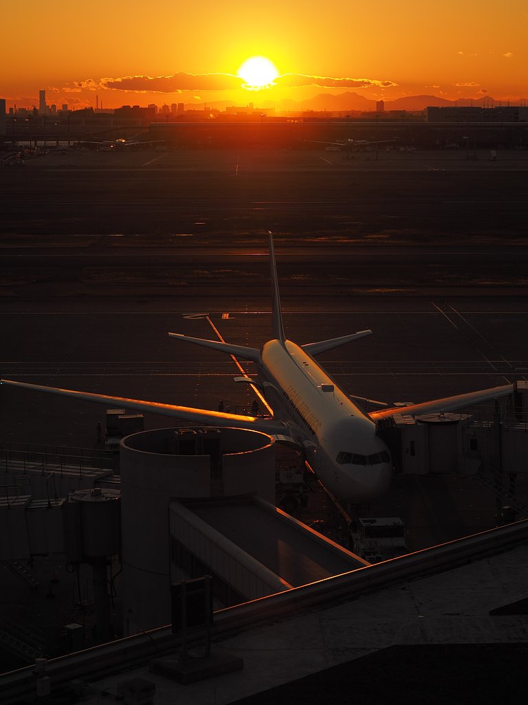 【縦画像】HND