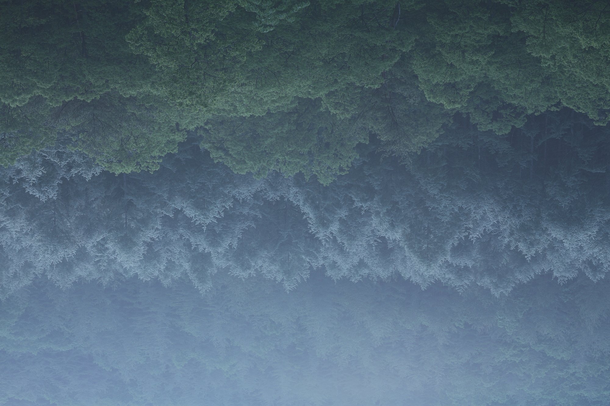 緑雲