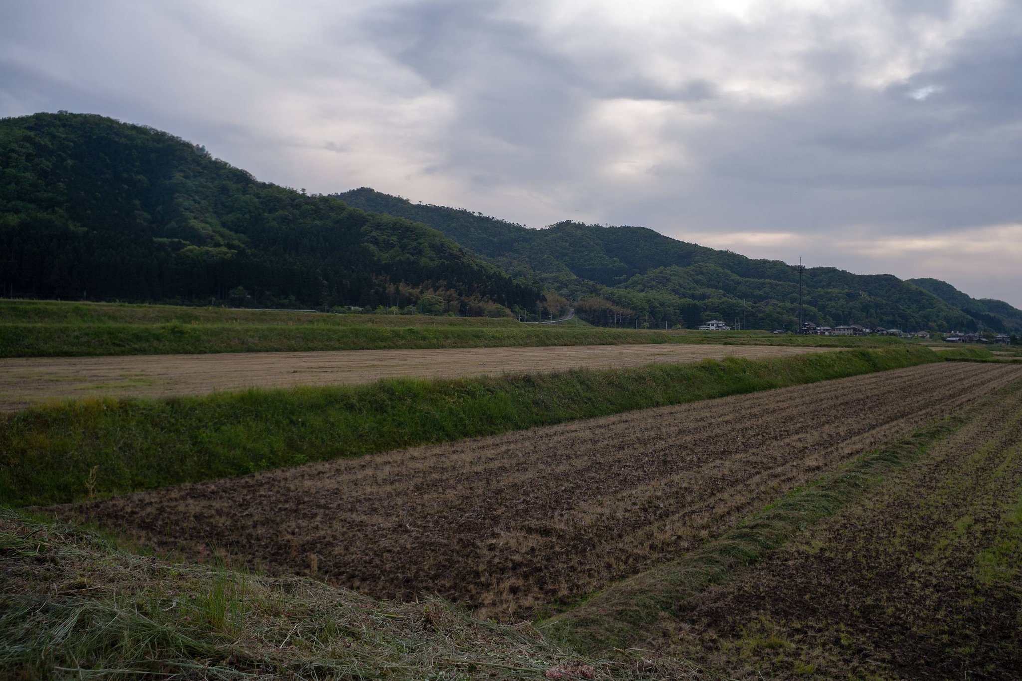 晴から曇り空に。