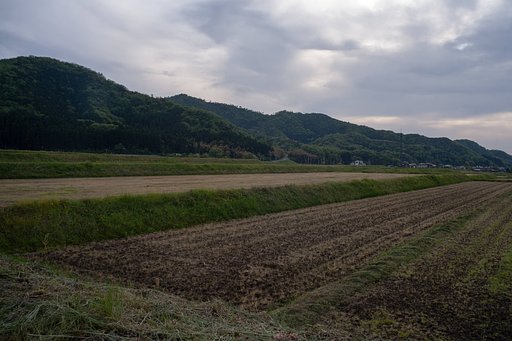 晴から曇り空に。