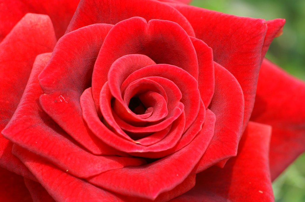 TOKINA EMZ M100AF F3.5 MACRO×1.4  Kenko TELE-PRO300