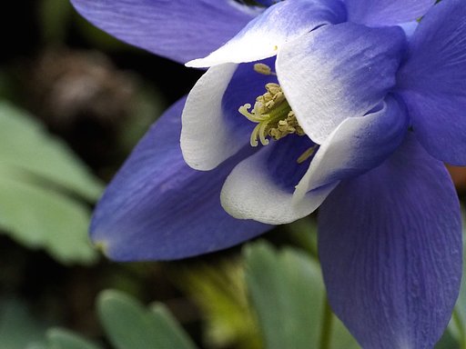 5月9日の写真