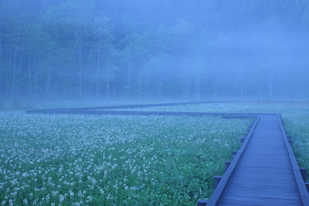 邂逅