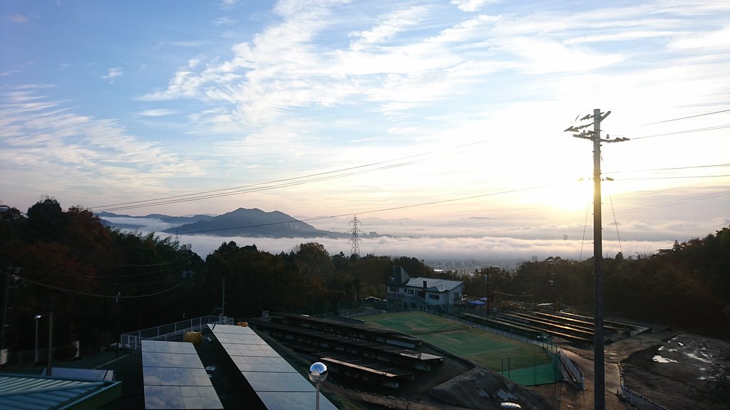 朝の街並みにかかる雲海