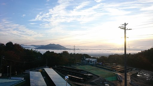 朝の街並みにかかる雲海