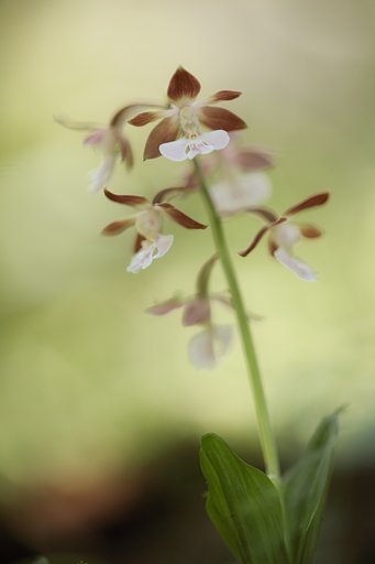 5月12日の写真