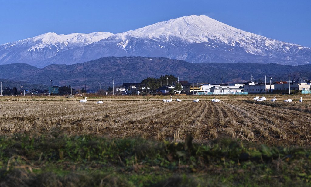 最近の鳥海山