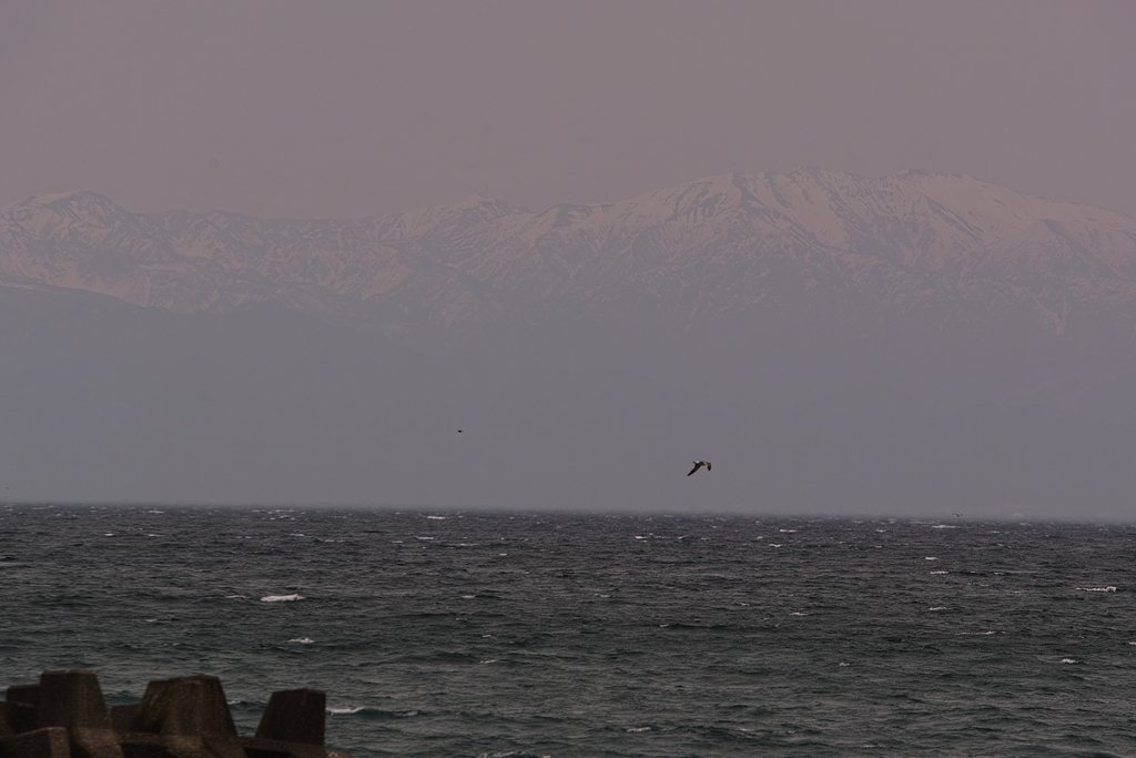 立山連峰と富山湾