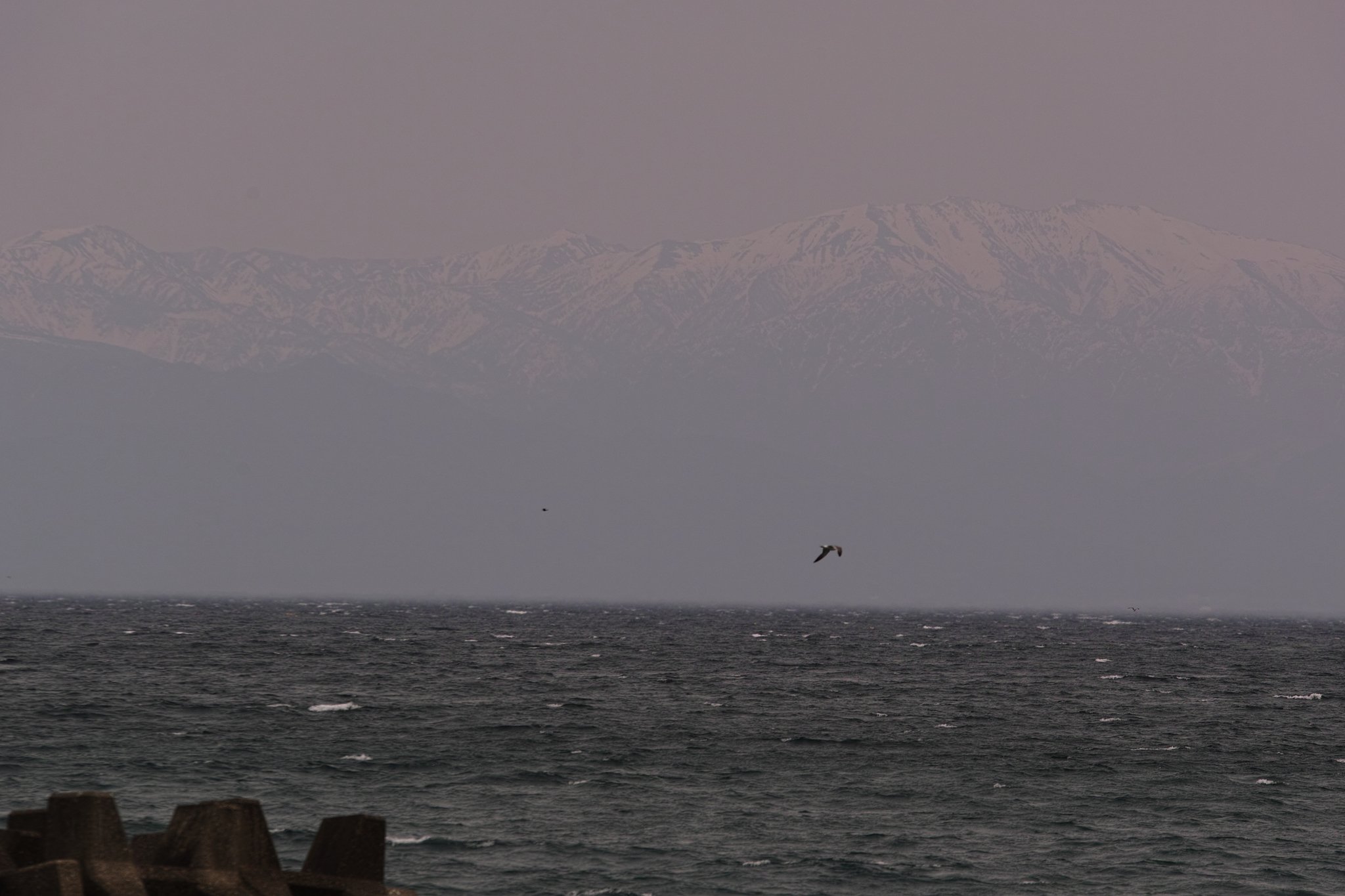 立山連峰と富山湾