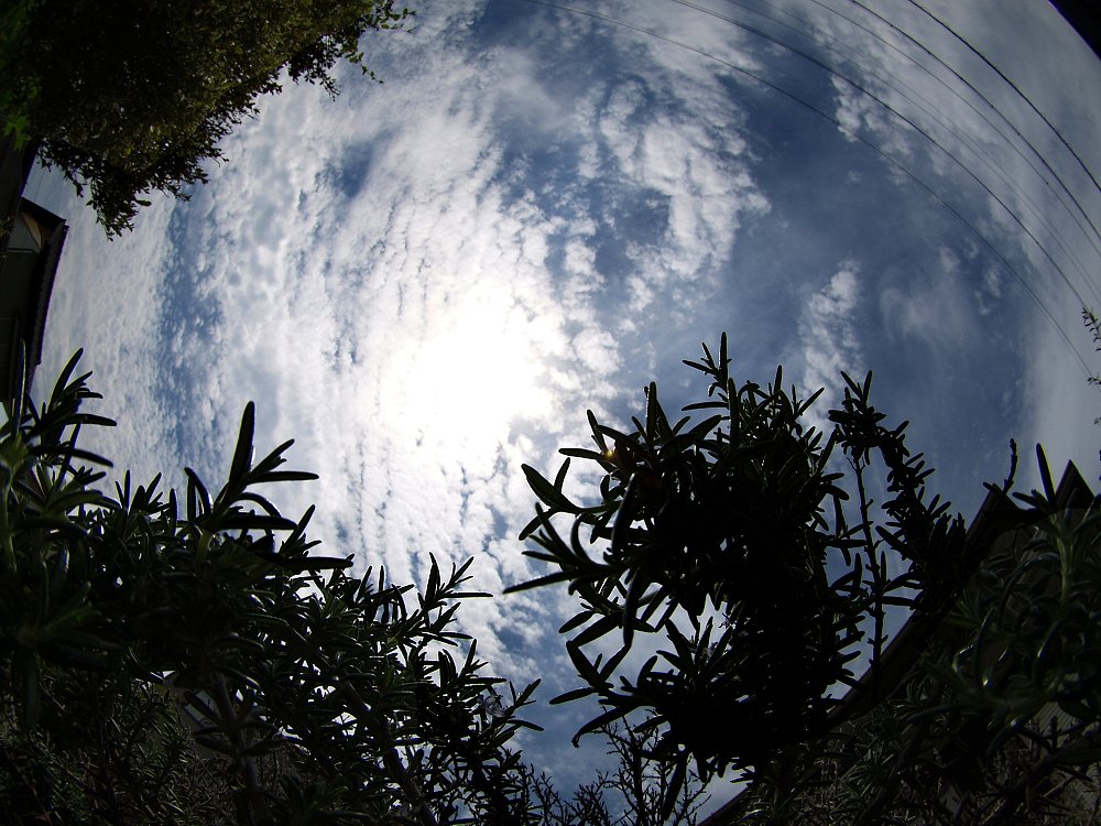 青空