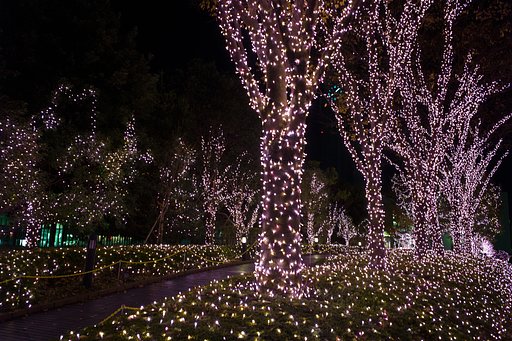 LEICA ELMARIT-M 28mm F2.8 ASPH