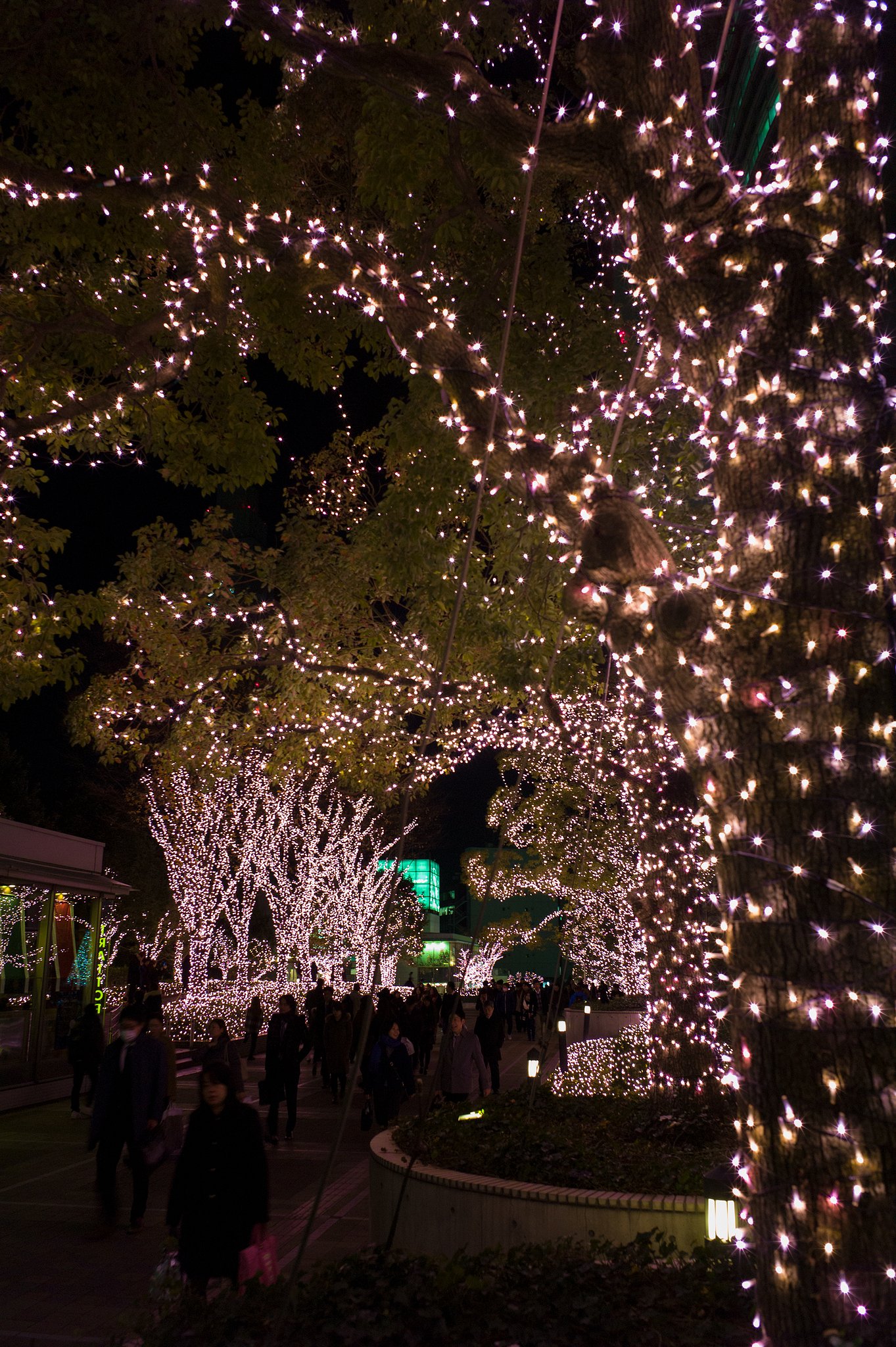 LEICA ELMARIT-M 28mm F2.8 ASPH