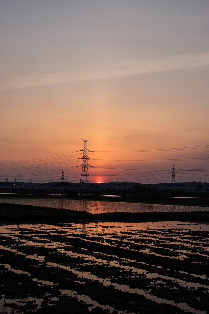 晩春落陽