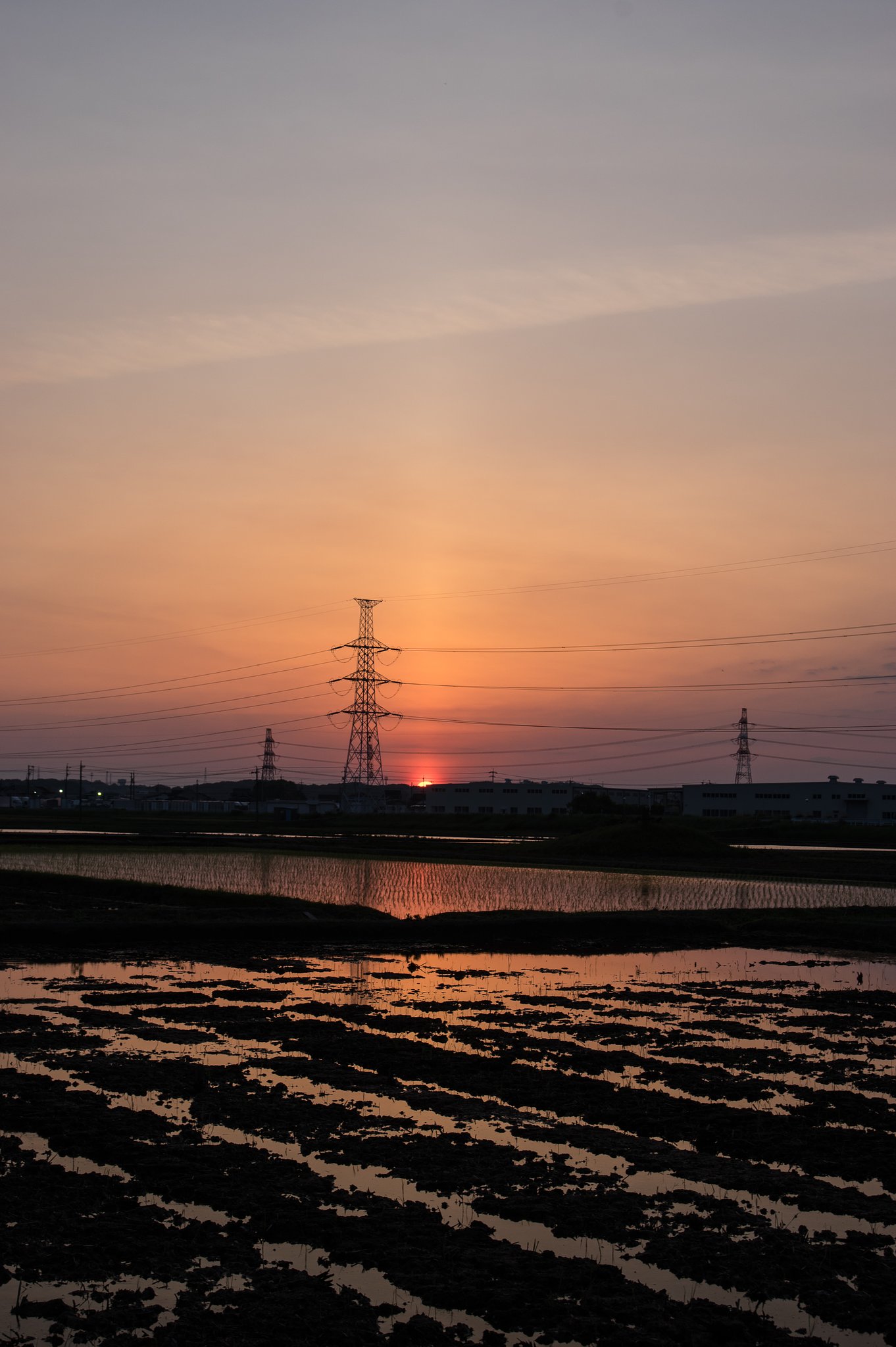 晩春落陽